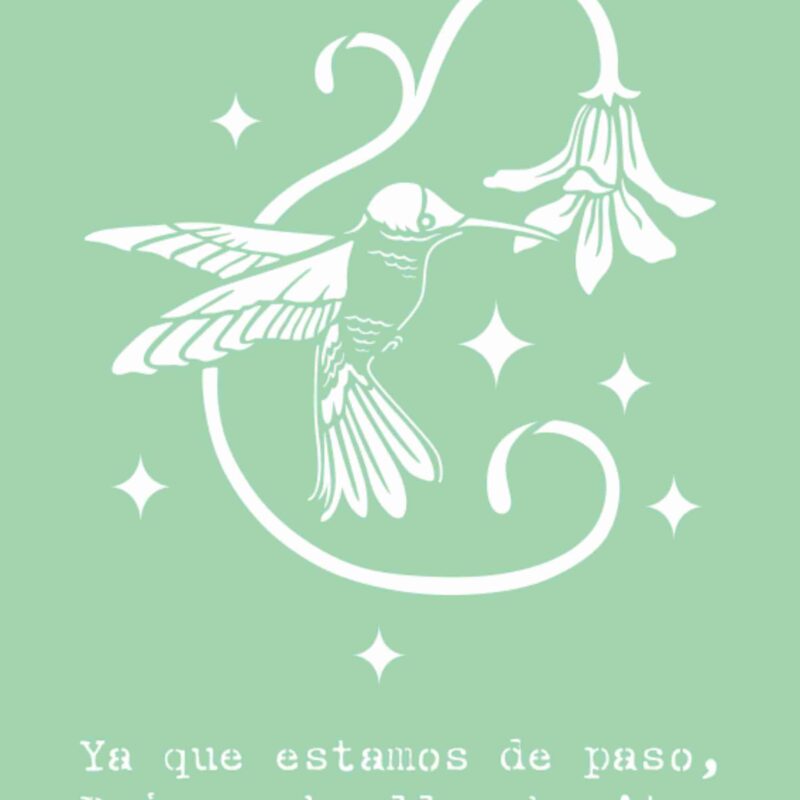 Colibrí