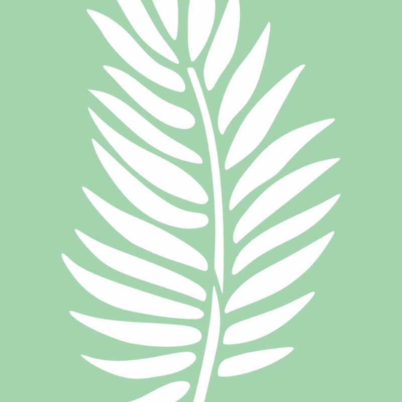 Palma